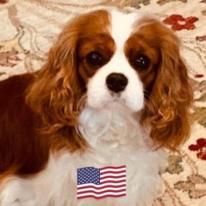 Meet your Posher, Susan